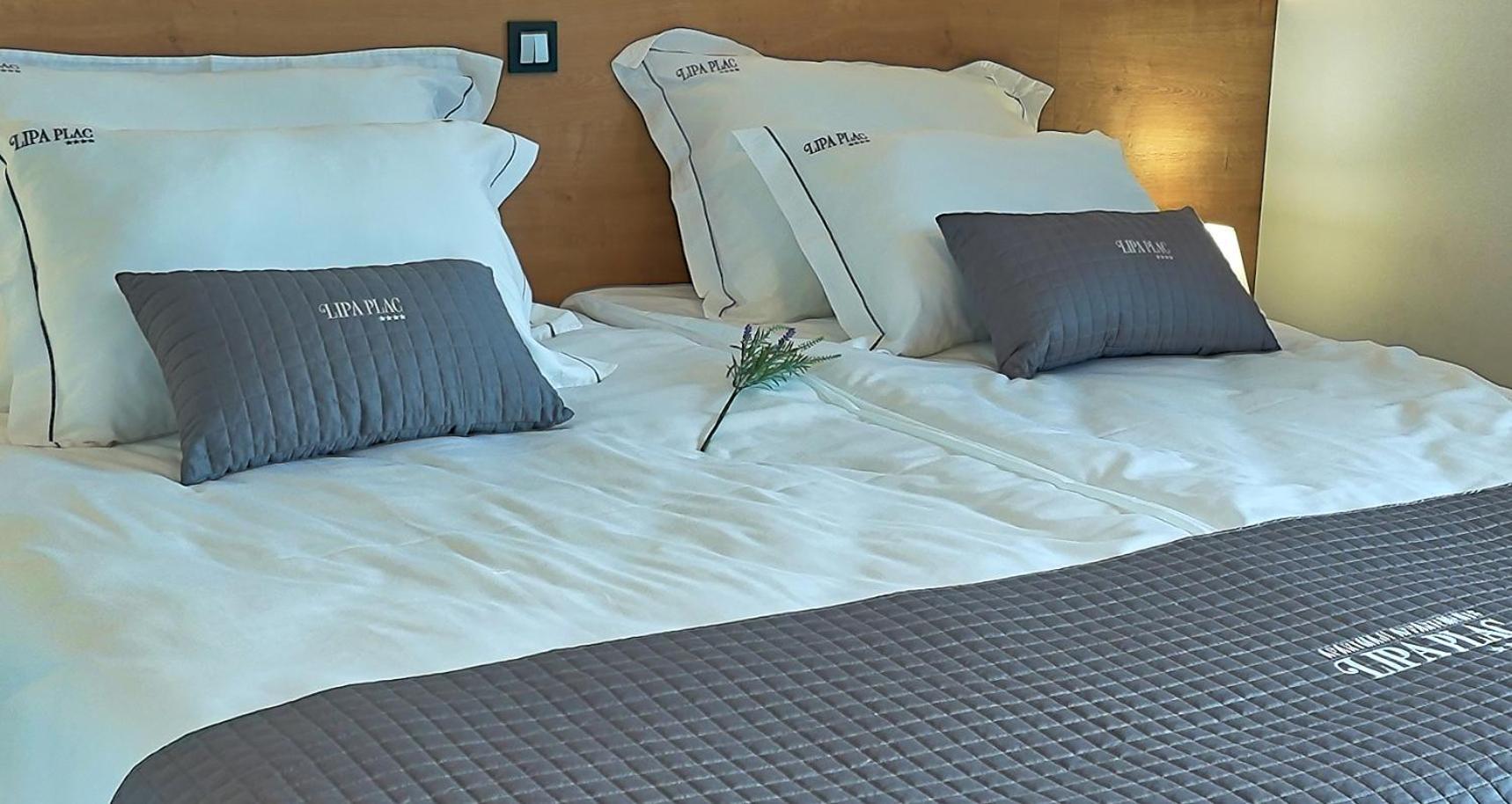 Apartments Lipa Plac Postojna Dış mekan fotoğraf